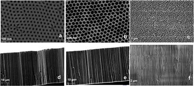 Porous Alumina Membrane-Based Electrochemical Biosensor for Protein Biomarker Detection in Chronic Wounds